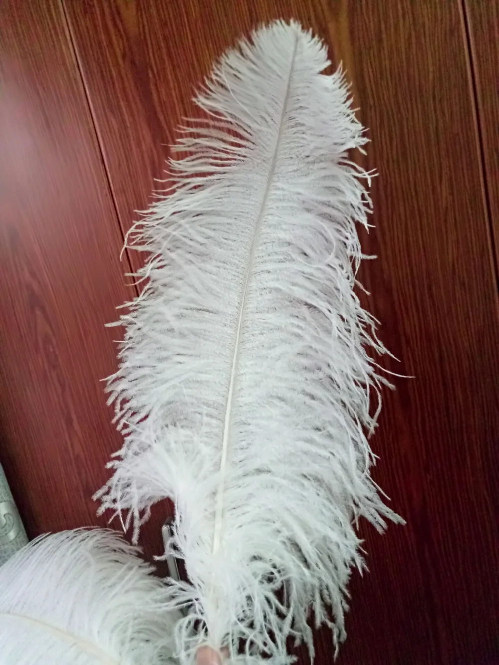 10 шт. высококачественные белые Страусиные feather22 24inches/55 60 см diy декоративные