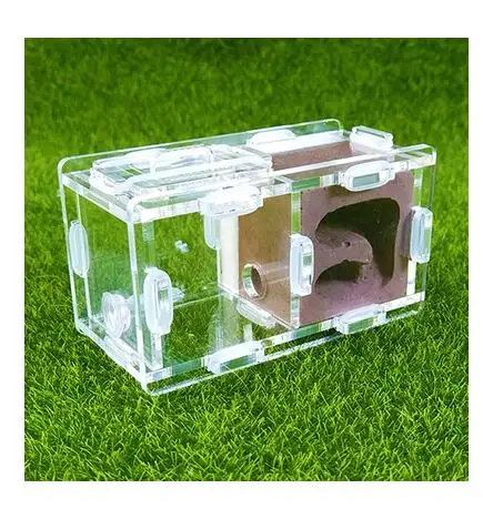 Мини-штукатурка Муравьиное гнездо 2 комнаты искусственный дом Москитная клетка