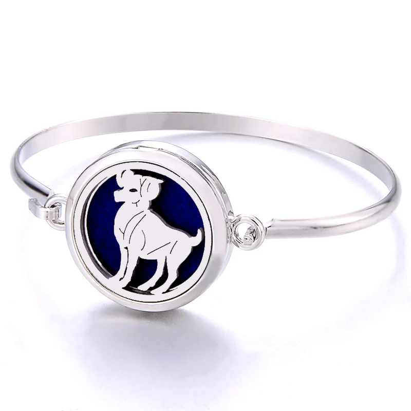 Браслет из нержавеющей стали с аромадиффузором 12 созвездий зодиака | Украшения и