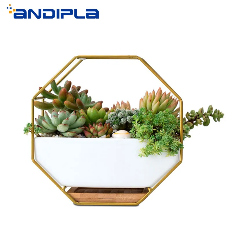 

Creative Wall Vase Iron Art Plant Holder Ceramic Hanging Flower Pot Succulents Bonsai Pots Wall Planter Home Office Decoration