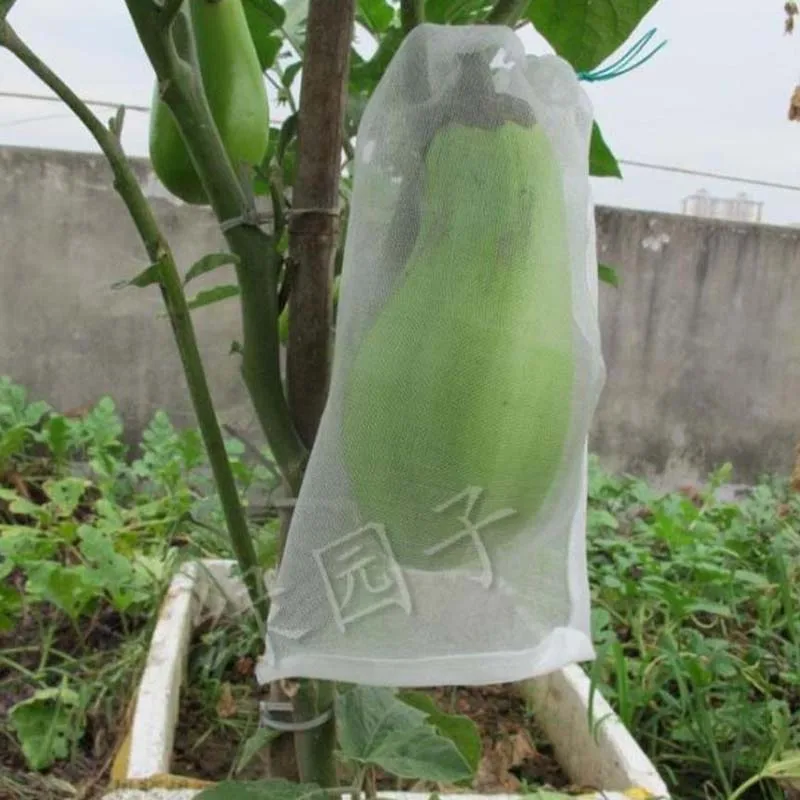 Сетка сетчатая для защиты садовых растений 100 шт.|Укрытие растений| |