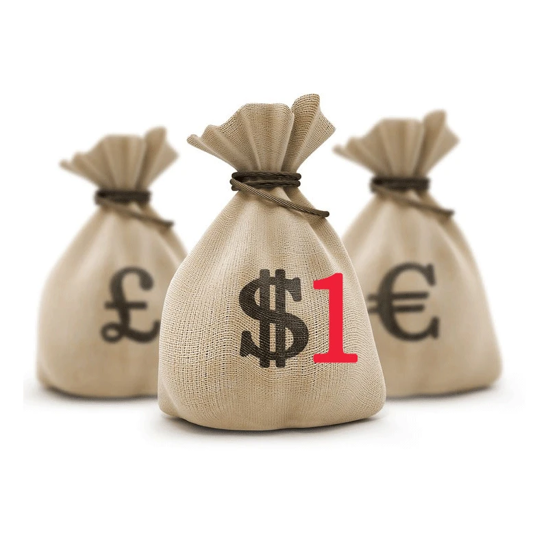 

Additional Fee