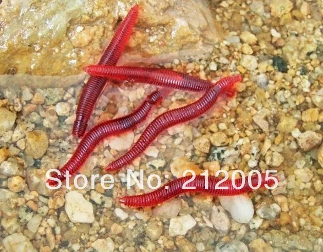 

100pcs/lot Soft Bait Red Worm Lure Worms smell bait Fishing