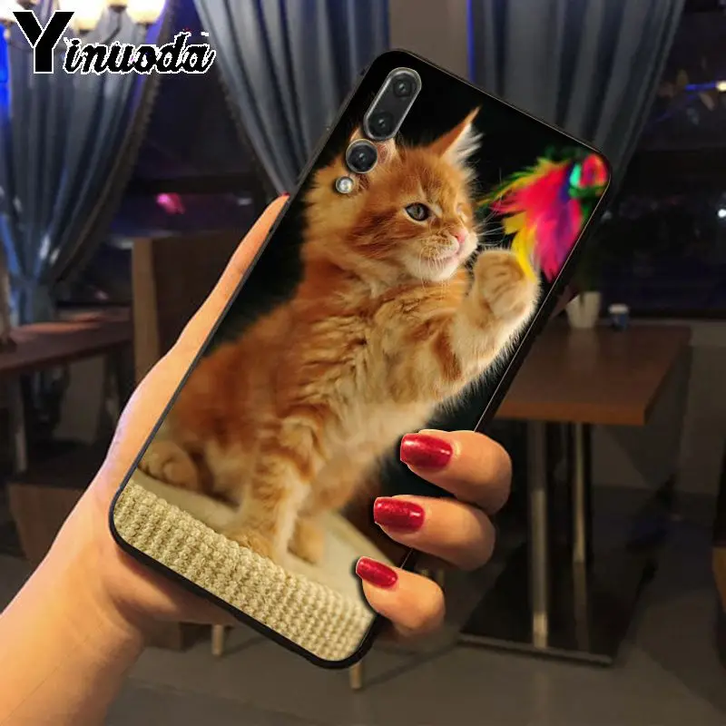 Yinuoda pet maine coon cat Phone Cases for Huawei P20pro mate10lite p10plus honor 8x 20 7A nova3i mate20lite funda | Мобильные