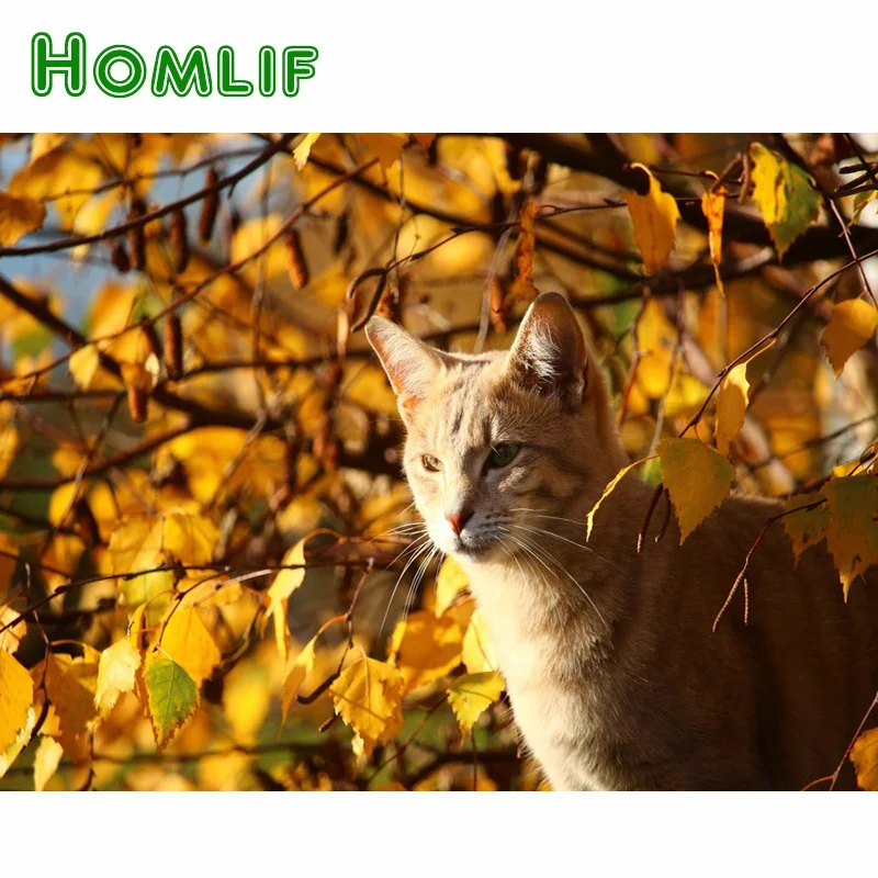 HOMLIF 5d Diy алмазов картина вышивки крестом осень кошка животного площадь Алмазная