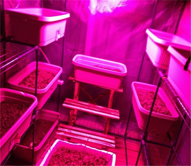 Full Spectrum LED Grow light 300w Panel lamp For Medical Flower Plants Vegetative and Flowering