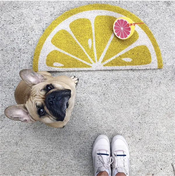Lemon Carpet Rug 41x75 см лимонный коврик с узором абсорбирующий коврик коврики и ковры для дома гостиная дверной коврик - Цвет: Lemon Carpet Rug