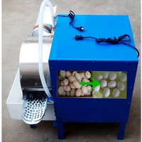 home use egg cleaning equipment electric egg washing machine automatic egg washer