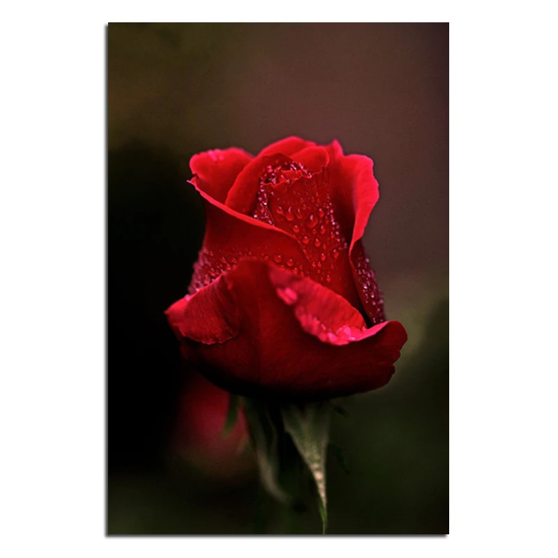 5D Сделай Сам Алмазная болит мозаика алмазная вышивка бутон с узором из красных