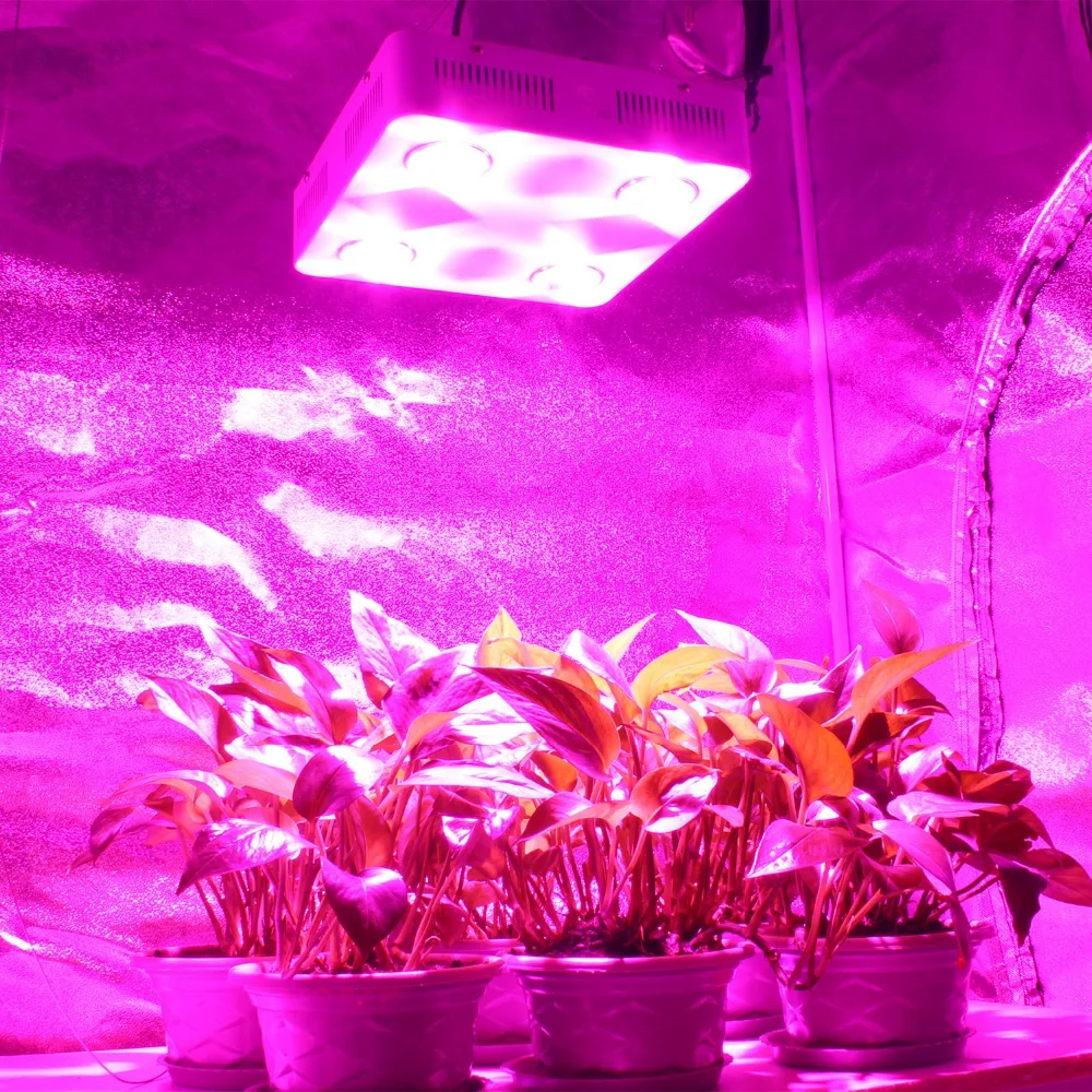 Фото CF Grow 600 Вт COB LED Light полный спектр комнатных гидропонных теплиц освещение для роста