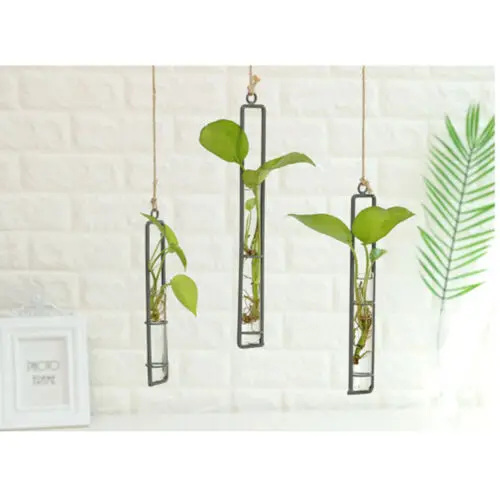 Креативная короткая подвесная прозрачная стеклянная ваза для цветов контейнер