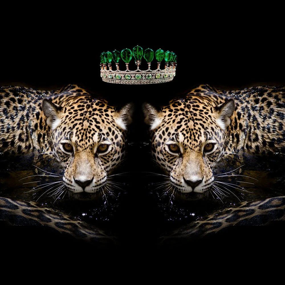 Двойной набор постельного белья леопардовой расцветки 3D хлопок Черная Корона