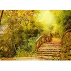 Желтый деревья Pathlet виниловые фотографические фоны для фотосъемки с изображением Свадебная фотосессия детские, для малышей студийной фотосъемки