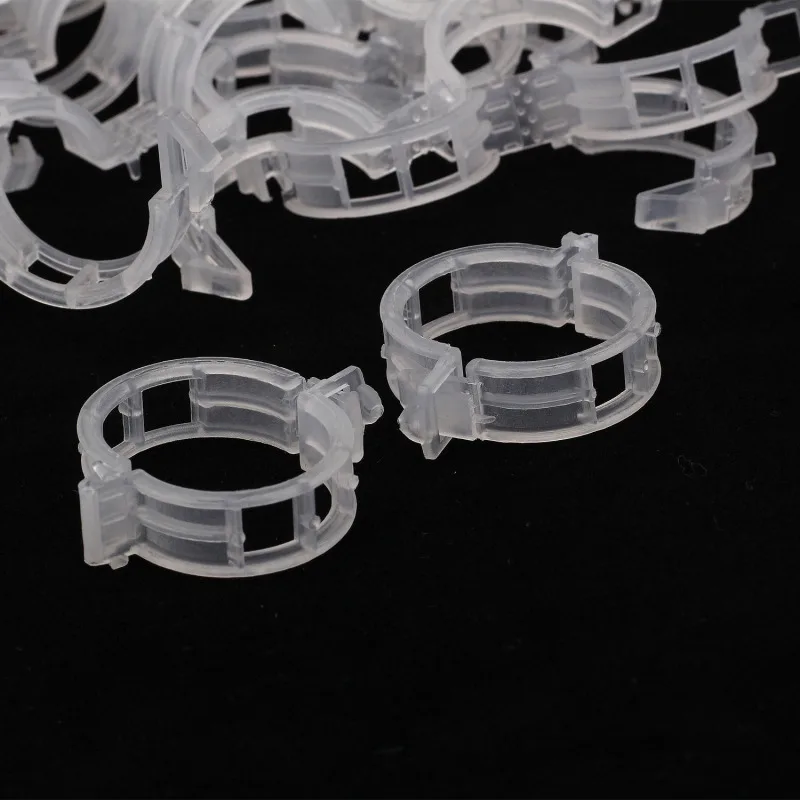 Новинка стержневые зажимы для овощей и растений 100 шт.|Опоры поддержки растений| |