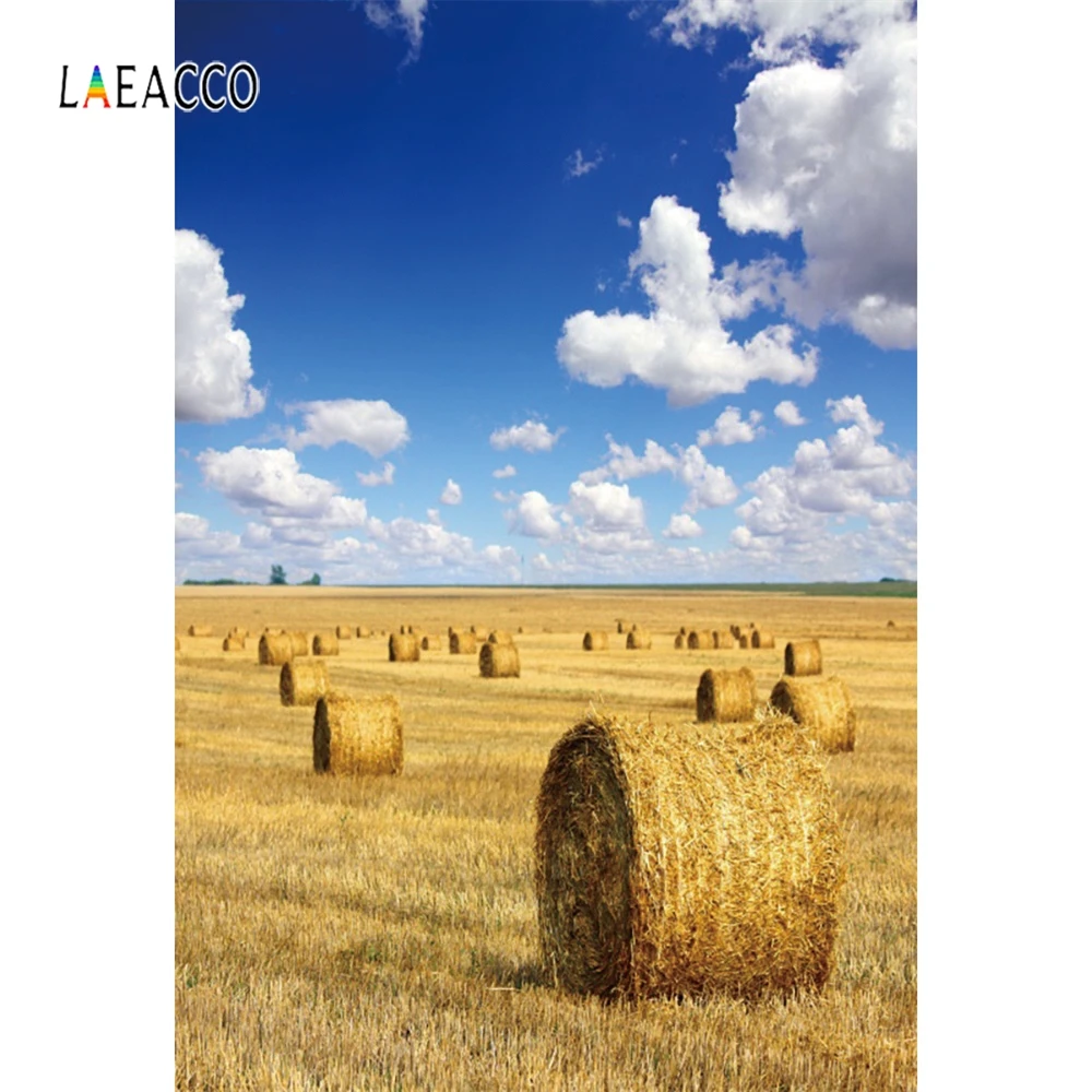 Laeacco на школьном пути доска дети сцены фотографии фоны индивидуальные фотографические фоны для фотостудии