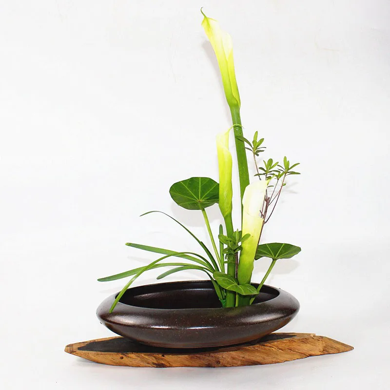 Японская Цветочная композиция настольная гидропоника цветочный горшок черная