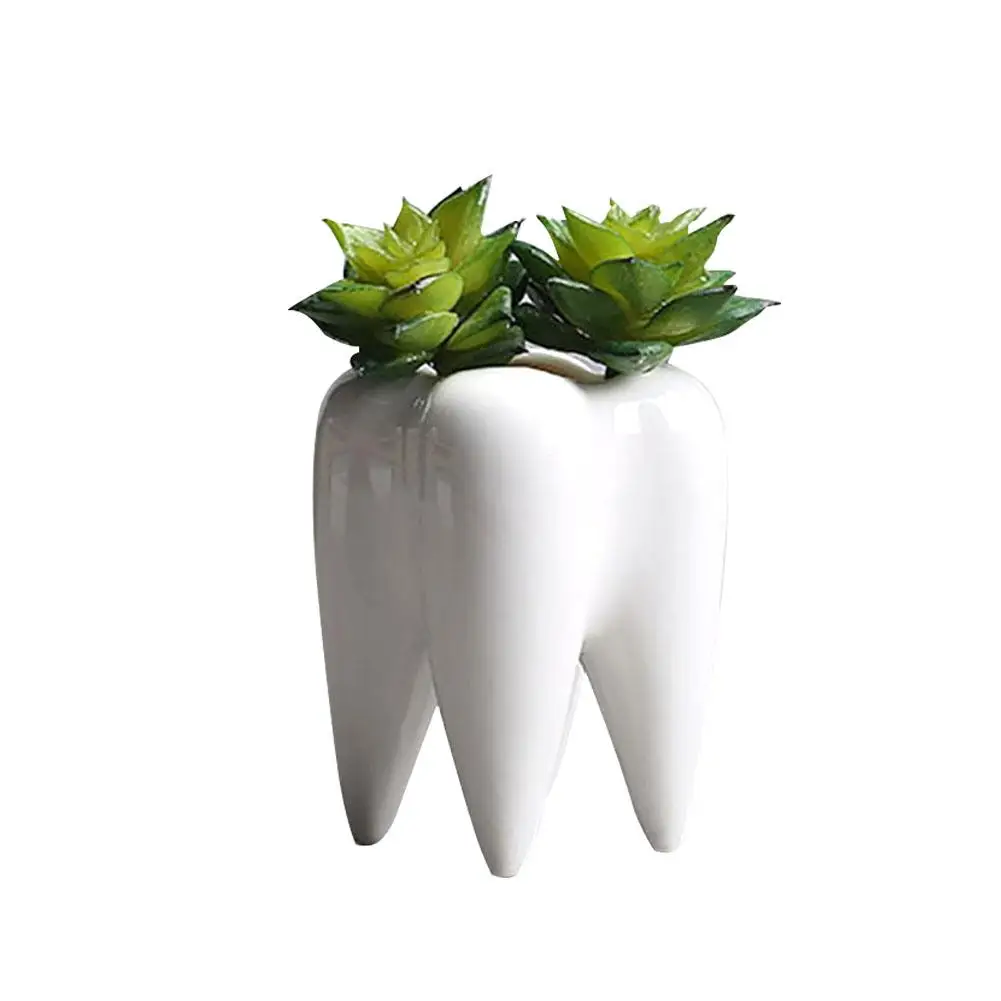 Фото Керамические суккулентные растения в форме зуба настольный цветочный горшок