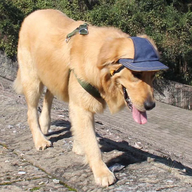 Шапки для собак SYDZSW модные дизайнерские бейсболки больших размеров с