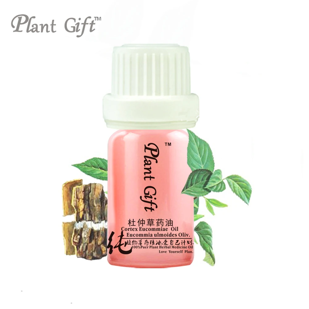 

100% Pure Plant Herbal Medicine Oil Cortex EUCOMMIAE oil Chinensis Herbal Oil 5ml Essential Oil Phellodendron Bark Oil