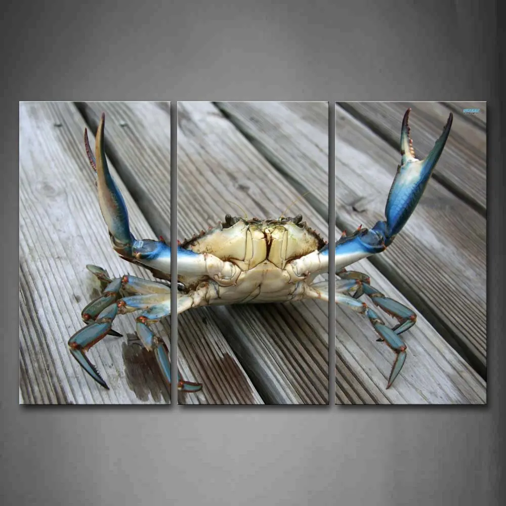 3 шт. настенные картины в виде крабов|wall pictures|print posterpicture painting |