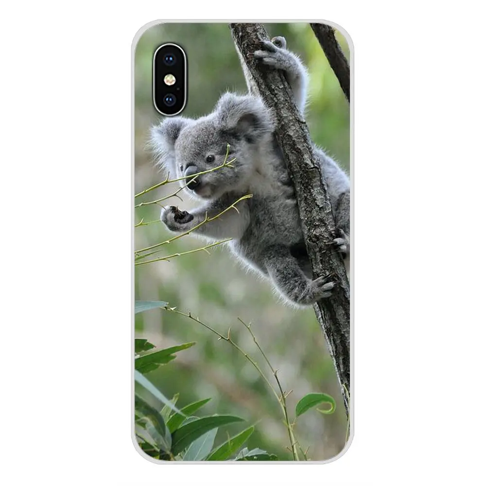 images 6 Для samsung Galaxy S3 S4 S5 мини S6 S7 край S8 S9 S10 Lite рlus Note 4 5 8 9 животное коала аксессуары для телефона чехлы - Цвет: images 6
