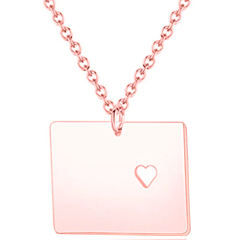 Ожерелье SUTEYI с подвеской картой США подвеска из нержавеющей стали в стиле