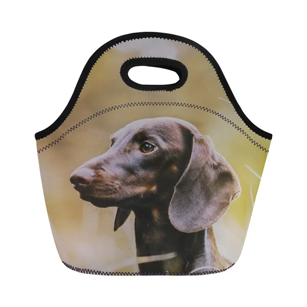XM2095Z20 Twoheartsgirl милый Dachshunds напечатанный неопреновый мешок для завтрака для женщин дети Термоизолированный Ланч-бокс сумка-тоут Портативный Ланч-мешок - Цвет: XM2095Z20