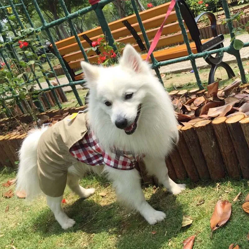 Летняя одежда в клетку для собак большой и цвет золотистого ретривера щенка