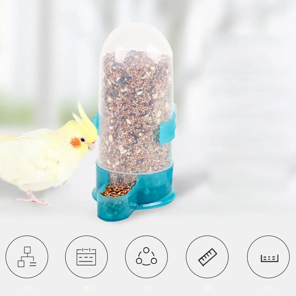 Автоматическая водяная ловушка для попугаев|Кормление птиц| |