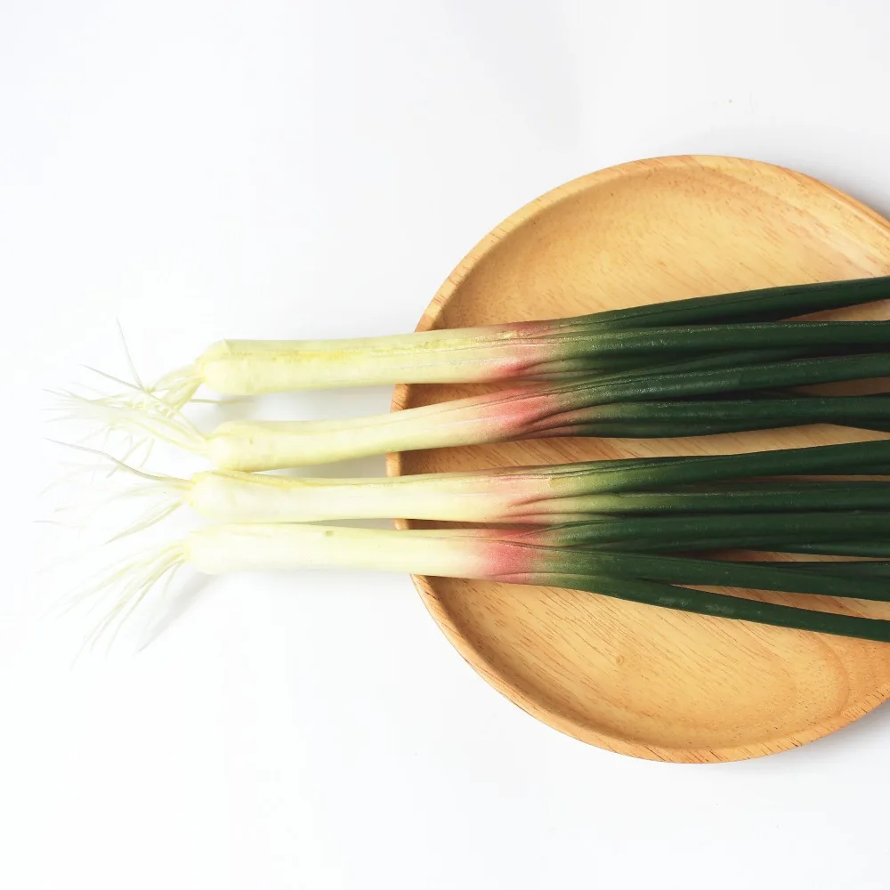 Искусственный шалот картина модель украшения дома фотография шоу реквизит