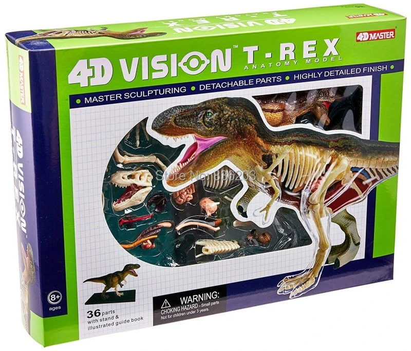 4D Master vision T-REX Анатомия динозавра модель скелета полностью съемные части тела Обучающие
