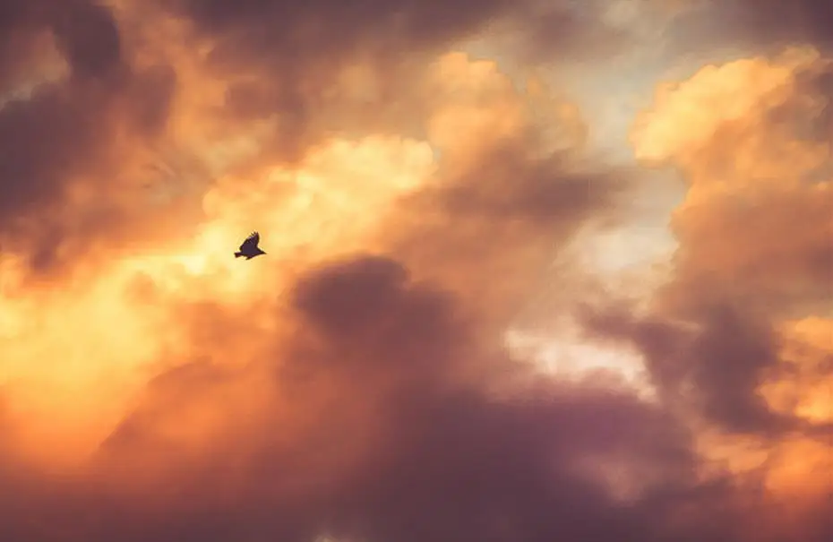 3D обои на заказ небо птица потолок крыша фон настенные фрески украшение для дома