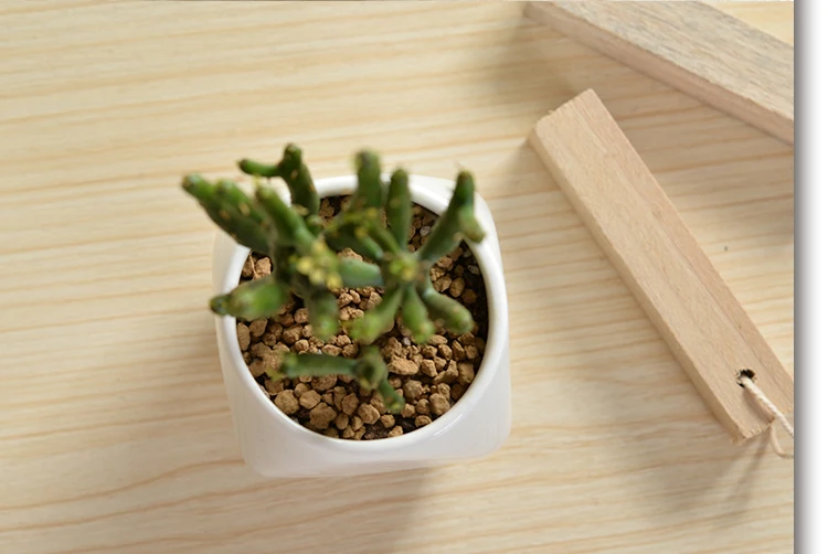 Бесплатная Доставка! Хит продаж! Цветочный горшок с многоуровневой лестницей в