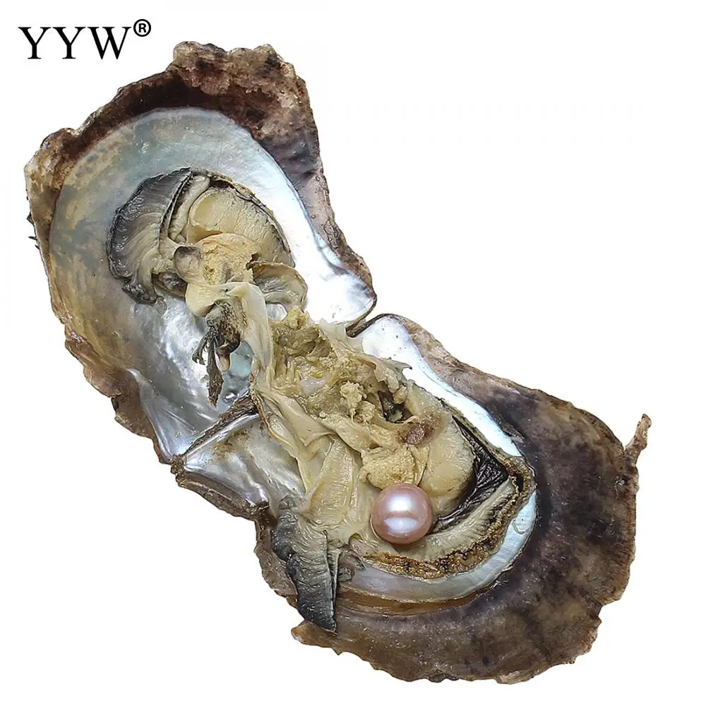 1 шт Высокое качество вакуумная упаковка устрицы с жемчугом акойя величиной 8-9 мм