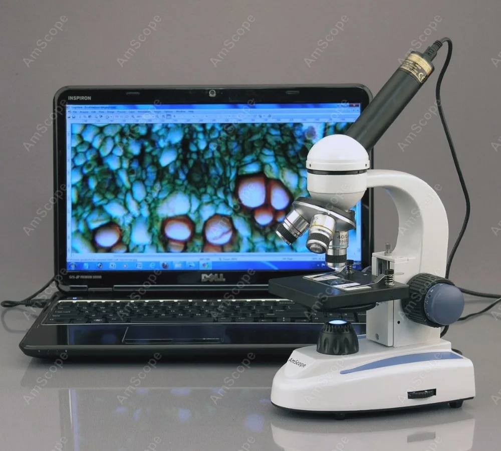 Compound Microscope--AmScope Supplies 40X-400X Cordless LED Metal Frame C&ampF Microscope w Top &amp Bottom Lights | Инструменты