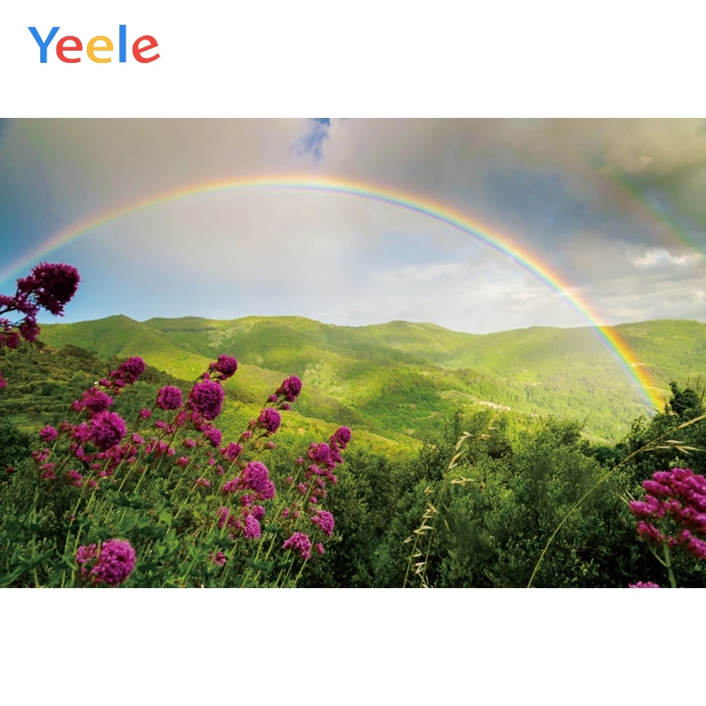 Yeele небо облака радуга цветы пастбища пейзаж фотографии фоны индивидуальные