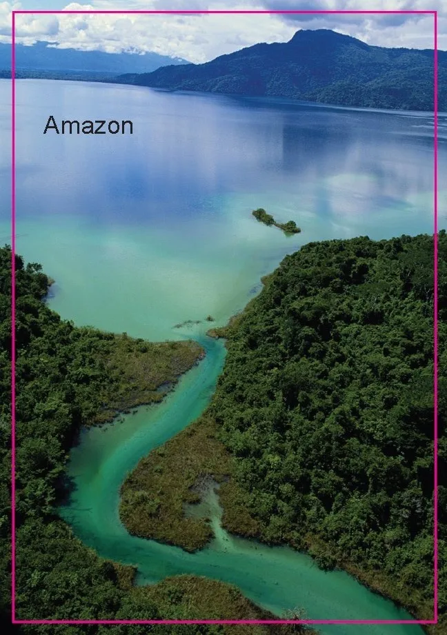 Amazon река прямоугольный туристический металлический магнит на холодильник 5368 |