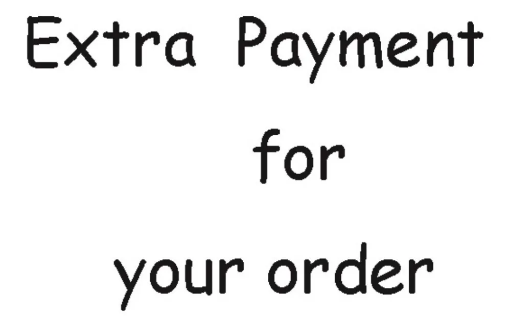 

1usd payment for your order