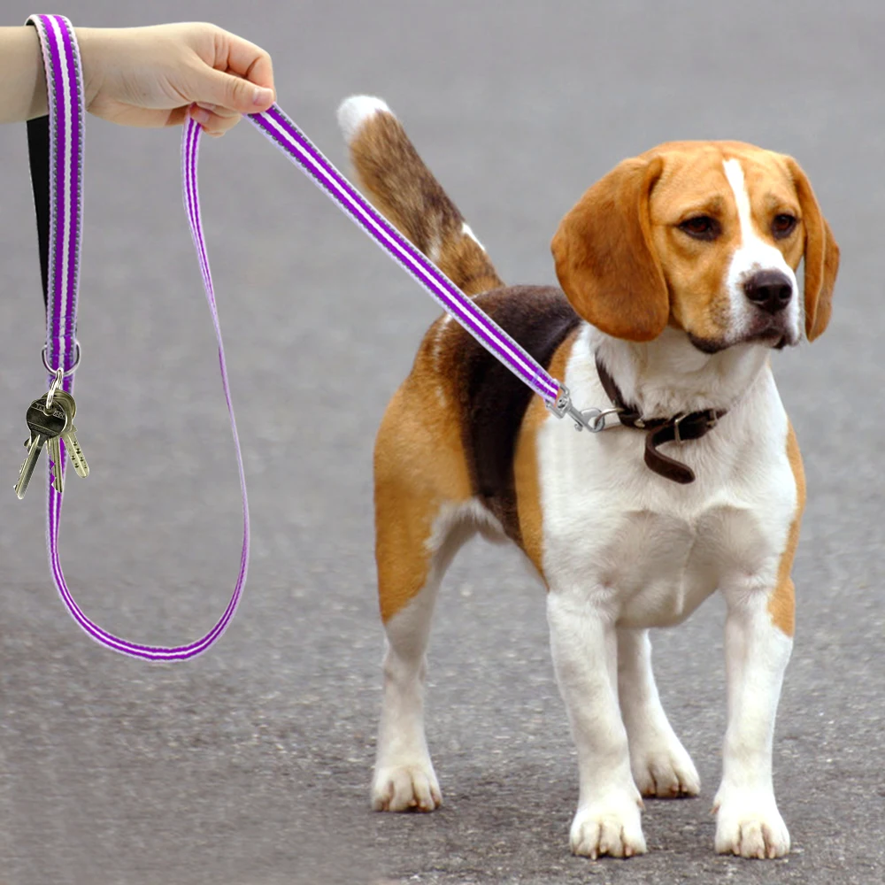 5ft собаки поводок нейлоновый отражающий поводки для щенков спортивный пояс