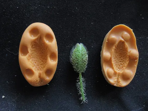 

bud silicone molds Plant foliage wheat silicone fandont mold Silica gel moulds Plant Chocolate molds bud candy mould