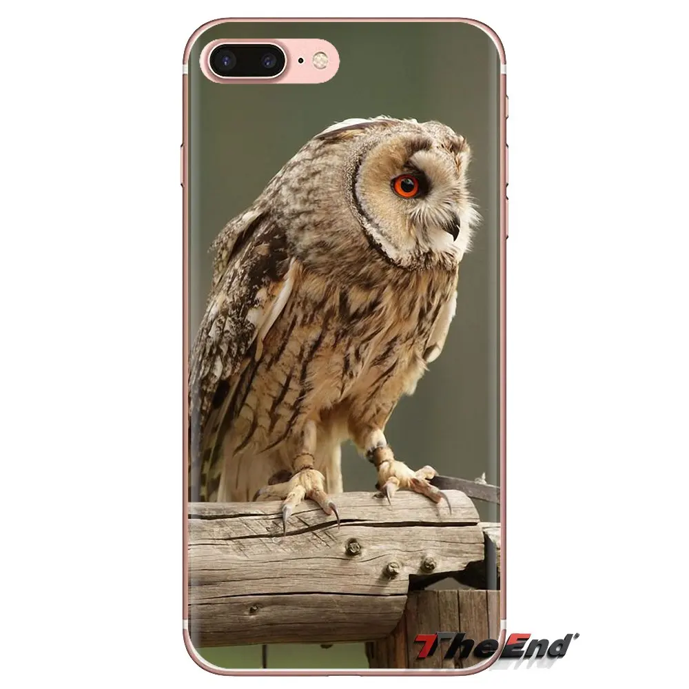 Long Eared Owl Asio otus Transparent Soft Cases Covers For Samsung Galaxy A3 A5 A7 A9 A8 Star A6 Plus 2018 2015 2016 2017 |
