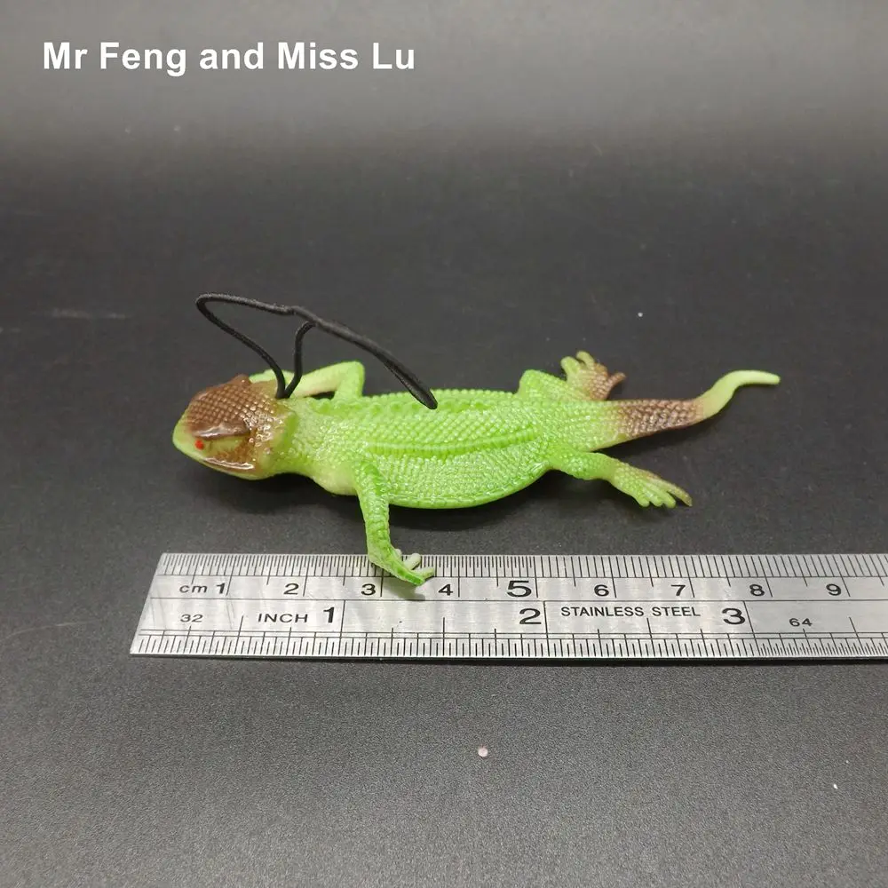Модель Gecko образовательные фигурки в стиле хамелеон раннее обучение детей |