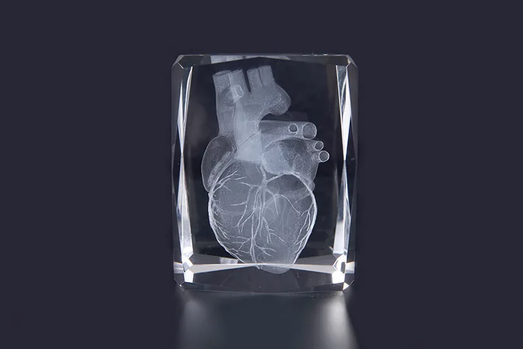 3D стереоскопическая Хрустальная внутренняя резьба человеческое сердце анатомическая модель 50*50*80 мм