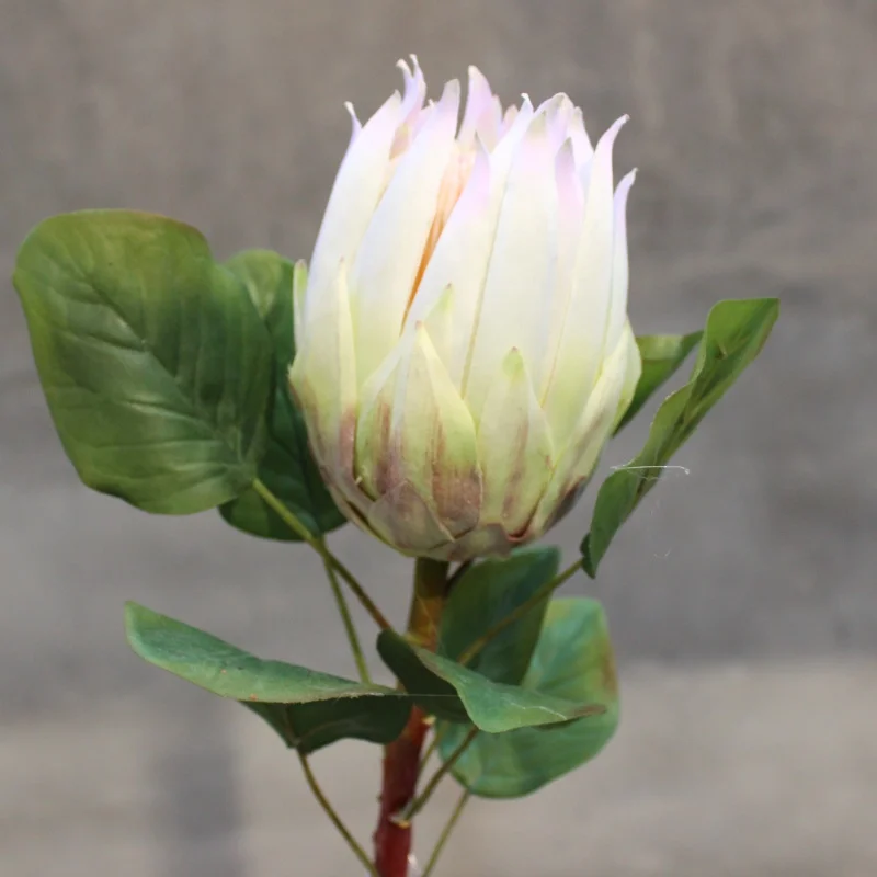Король Protea искусственные шелковые цветы для дома декоративные вечерние