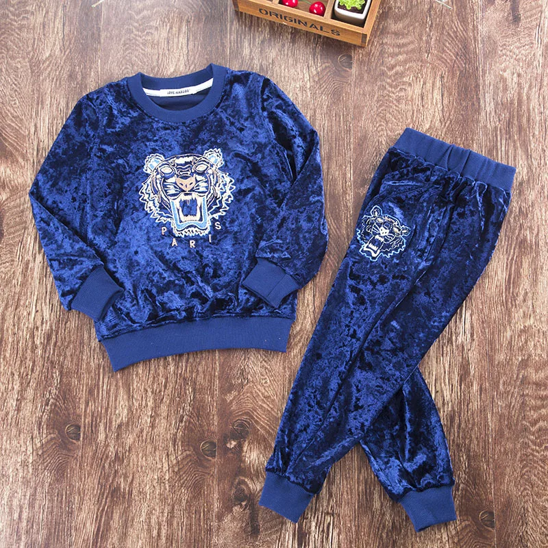 New Style Embroidery Kids Boys and Girls Tracksuits Sportswear fleece jacket Spring Autumn Clothes Children Casual Set 8colors | Детская