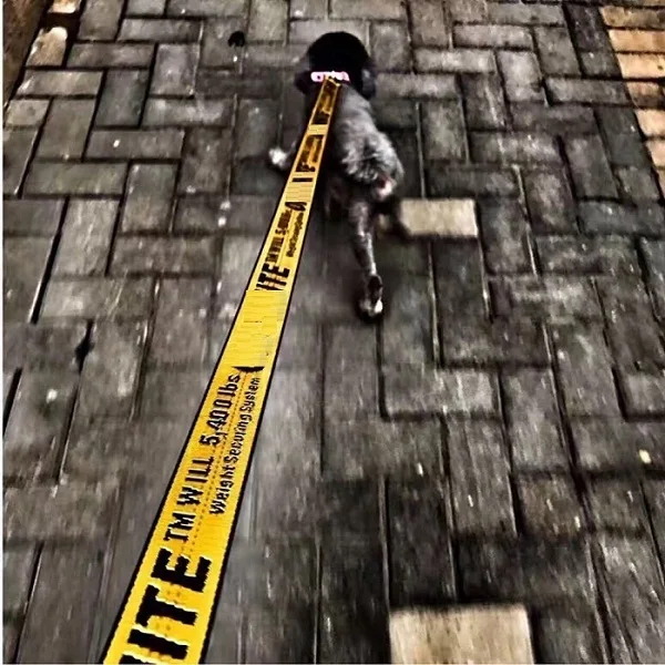 Yellow Leash Ошейник для собак, нейлоновый поводок, модный ошейник для щенков, для маленьких собак, поводок для бега, поводок для собак, нейлоновая веревка для маленьких щенков, кошек - Цвет: Yellow Leash
