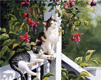 GX6794 DRAWJOY в рамке животных DIY картина по номерам Настенный декор ручной работы Холст Картина маслом домашний декор для гостиной 40*50 см - Цвет: GX6794