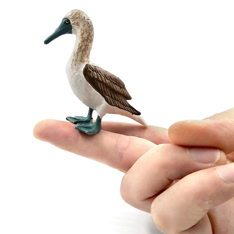 Моделирование леса Kookaburra Gannet фигурки миниатюрные животные модель птицы