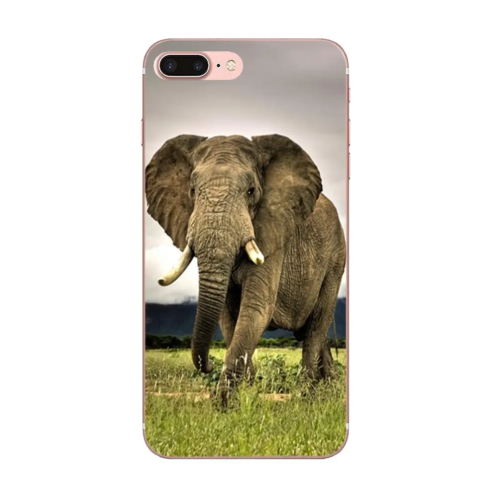 Мягкие чехлы для мобильных телефонов из ТПУ милый индийский слон Apple iPhone 4 4S 5 5C 5S SE
