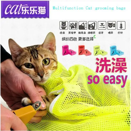 2016 новый горячая распродажа домашние животные поставщиков кошки